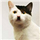 Shane_King's avatar