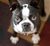pmutt's avatar